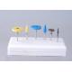 Colorful  Composite Dental Polishing Burs for Dental Zirconia Blank