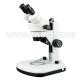 White Learning Stereo Binocular Microscope High Eyepoint A23.0901-BL1