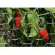 Galvanized Iron Chicken Wire Mesh Roll Double Twist Weave Easy Install For Garden And Landscaping