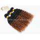 Hot 18 Curly Ombre Hair Extensions for Sale, 45 CM 2 Tone Colour Curly Ombre Remy Human Hair Weft Extensions for Sale