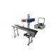 Portable Type laser metal marking machine For Aluminum Sheet Production Line
