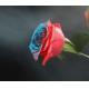Aeropak Aerosol Spray Paint For Roses Fresh Flowers Spray Paint