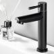 Lever Handle Single Handle Lavatory Faucet SN Matte Black Cold Only Faucets