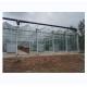 Tempered Glass Covered Agricultural Greenhouse for Growing Vegetables in Holland Frame