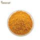 100% Natural Pure Fresh Tea Pollen Big Granular Raw Bee Pollen for Food High Quality