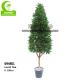 Lifelike Anti UV 6ft Artificial Outdoor Trees , Artificial Bay Leaf Tree For