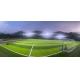 Diamond 80 Synthetic Artificial Grass Turf 60mm Height PP+Leno Backing