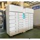 Real-Time Monitoring And Control Secure Frozen Storage Locker With Different Sizes Doors