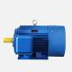 Permanent Magnet Three-Phase Brushless DC Electric Motor For Industrial Applications