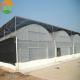 Single Layer Film Cover Greenhouse with Excellent Insulation and Pressure Resistance
