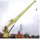 Hydraulic Drive 15M Stiff Boom Crane Marine Fixed Boom Crane