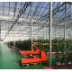 Double Layer Vegetable Planting Greenhouse with Drip Irrigation and Steel Structure