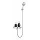 8% Nickel Brushed Stainless Steel Shower Set Wall Mounted