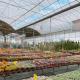 Multi Span Greenhouse with Shading 30 Days Return Refunds Now in Limited Time Offer