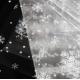 Partysu Transparent Snow Glass Waterproof Floral Flower Packaging Paper Shipping Time 30-45 Days