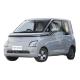 Chinese Mini EV Cars 2 seater Small Electric Vehicles Affordable