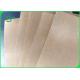 PE Coated Brown Kraft Paper Waterproof 50 - 500gsm For Takeaway Box