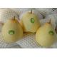 18kg   Fresh Chinese Ya Pears Fruit