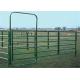 ISO9001 Powder Coating Round Pipe Farm Fence Gates