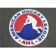 Large Size Hockey Sports Team Embroidered Patches Sew On Jersey 20cm*20cm
