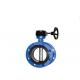 DN50~DN200 Pressure PN10 PN16 Class 150 Full PTFE Lined Wafer Butterfly Valve