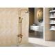 Multifunctional Stainless Steel Luxury Shower System , Modern Shower Set ROVATE