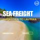 International Sea Freight From Guangzhou To Lautoka Fiji Direct Sailing