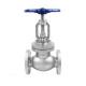 SS2205 Stainless Steel Globe Valve Steam Manual Flange End 4'' 300LB