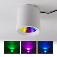 Recessed Adjustable LED Downlights Smart APP Voice Control 20W RGBW SPI USC2904