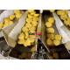 Multihead Weigher Packing Machine for Chicken Nugget Packaging System with ROMA Thermoforming Packaging