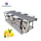 Spot vegetable sorting equipment commercial vegetable and fruit sorting table food factory line selection table