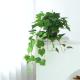 Green Vine Plastic Outdoor Hanging Plants Fake Hanging Ferns Ivy Wall Decoration
