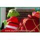 Promotional Inflatable Christmas Decoration With A Dog , Oxford Cloth or PVC