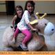 Electric Rechargeable Ride on Plush Animal Rides Ride On Toys Accessories NEW 2016 MODELS
