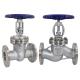 Light/Medium Duty 304 Stainless Steel Globe Valve with 2 API Flange and Manual Control