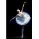 The new 2016 ballet skirt adult professional ballet costumes veil TUTU skirt swan lake show