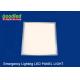 Warm White 12W LED Ceiling Light, Surface Mount LED Panel Light 300x600 mm