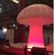 Customized chinese new year inflatables mushroom