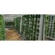 Indoor Hydroponic Growing Systems Home Zip Vertical Hydroponic System