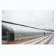 Boost Winter Crop Growth Single Span Agricultural Greenhouses Height 3.5-5M