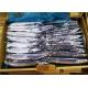 100% Net Weight #3 Frozen Pacific Saury For Canned Fish