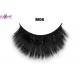 Fashion Long Makeup Horse Hair Lashes Cruelty Free  0.10mm Thickness Easy Apply