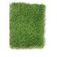 Leisure Area Fireproof 0.35cm Outdoor Artificial Grass