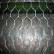 Stainless Steel Hexagonal Wire Netting/Poultry Netting