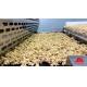 Continuous 1000 Kg/H 220V Potato Chip Granola Production Line