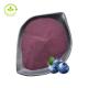 Blueberry Extract Powder 25% Anthocyanidins Pure Organic Food Supplement
