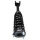 Front Left Right Coil Spring Shock Complete Mercedes Benz W164 GL ML 1663232400 1663231000