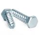 ISO9001 Certified DIN571 Galvanized High Strength Self Tapping Wood Screw for Building