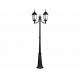 Outdoor Curved Decorative Light Poles Two Head Cast Iron Black Classic Shape