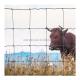 Rodent Proof Galvanized Woven Wild Hinge Joint Knot Horse Fence for Cattle Farm Field